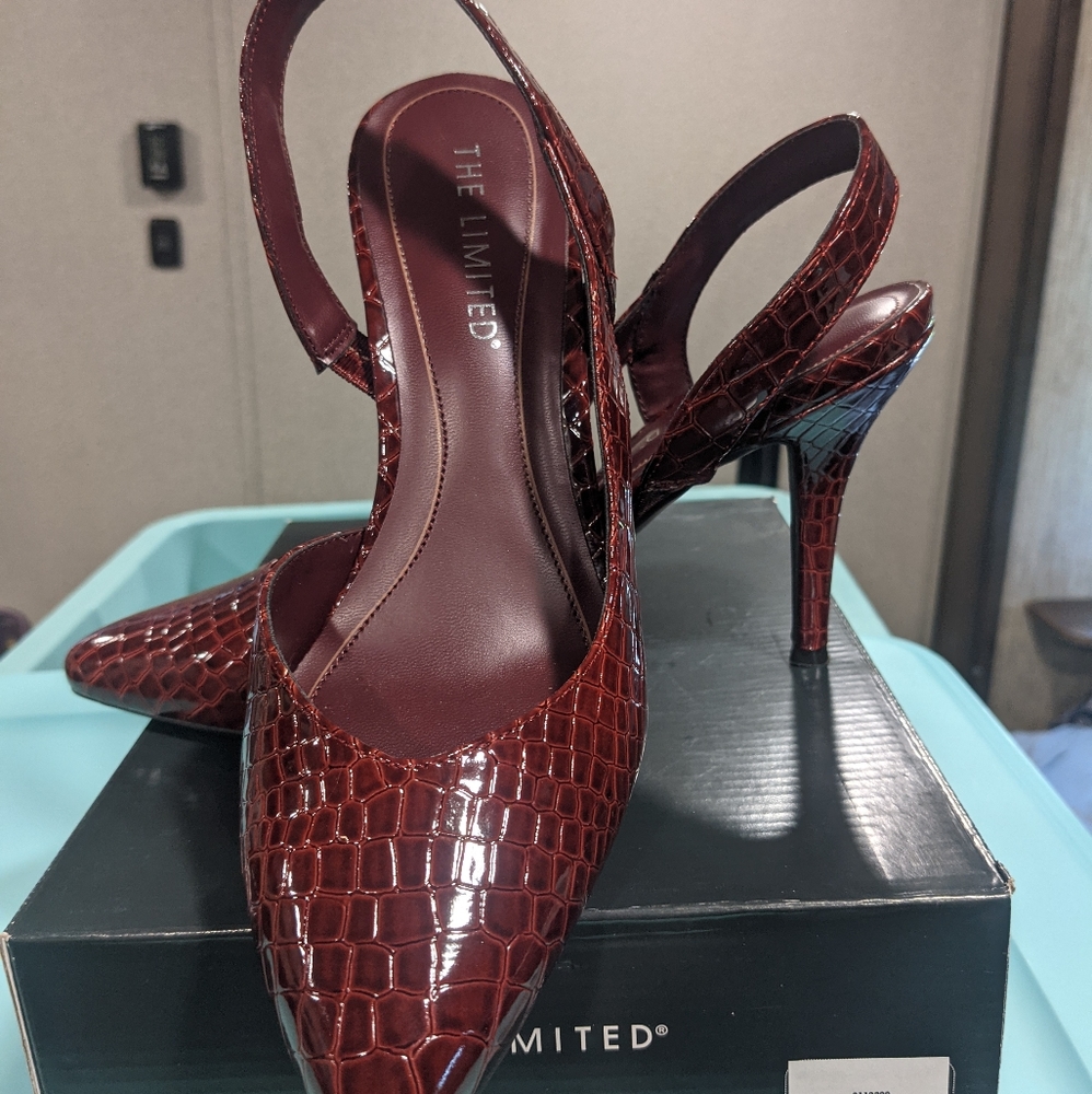 The Limited Pumps